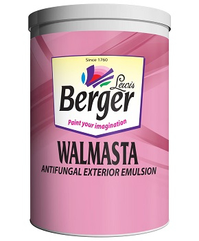 Walmasta Exterior Paint